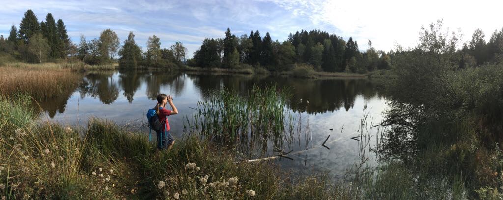 Observing biodiversity change